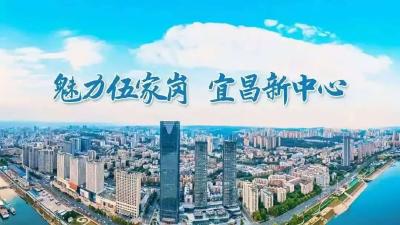 锲而不舍落实中央八项规定精神 | “民益路”变“民意路”，伍家岗小巷深处见初心！