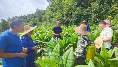 129名特派员破解200项技术难题——长阳科技赋能农业助农增收记