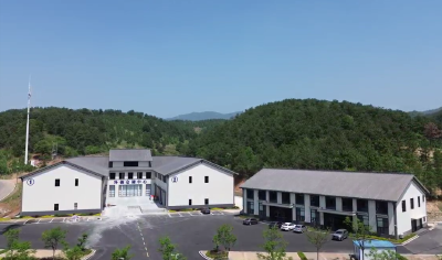 上线八个多月，交易额近一点五亿元 供应链平台助广水农产品“驾云”出山