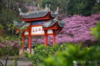 湖北的“中气”