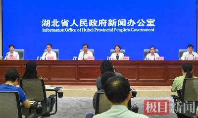 占比近三分之一！湖北6490家规上工业企业启动数字化转型