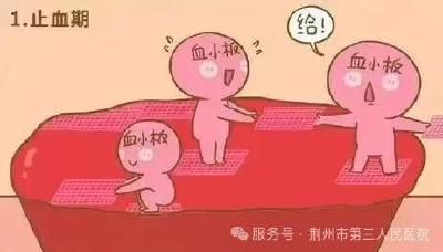 健康｜小伤口别乱处理！揭秘伤口愈合四阶段