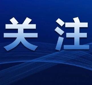澳大利亚影视从业者：澳中可加强微短剧合作
