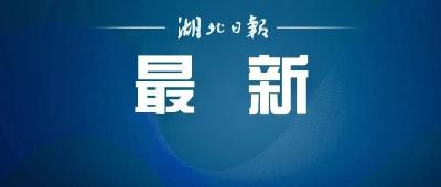 述评｜五年，栽下又一棵年轻的树