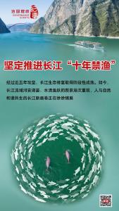 瞭望·治国理政纪事｜坚定推进长江“十年禁渔”