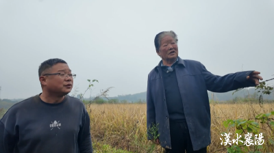 从“拓荒豹”到“智慧农”！两代“粮王”的父子赓续