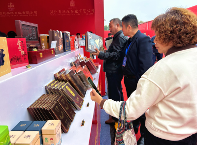 赤壁青砖茶：从“一枝独秀”到“百花齐放”的产业升级之路