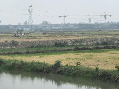 点“土”成“金”记——咸安农村集体经济发展观察