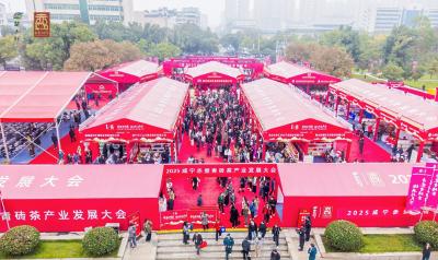 千年茶香焕新意——2025咸宁赤壁青砖茶产业发展大会侧记