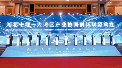 山海交响 链动湾区 