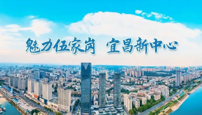 陌邻成睦邻——宜昌伍家岗15.9万志愿者的社区治理答卷