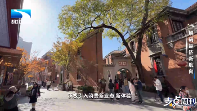 
锚定2026经济航向，湖北以“支点建设”作答时代之问