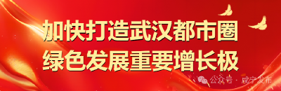 从“一棵苗”到“全链条”——崇阳黄精产业书写“点绿成金”新故事