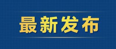 择高而立，向高而攀——代表委员为武汉高质量发展聚智谋篇