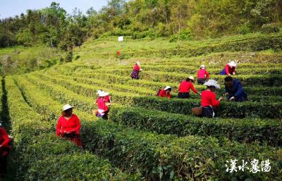 不靠“硬管”靠“共治”！看襄阳这9个村怎么把人心聚起来