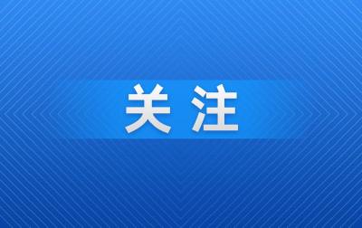 新春走基层：春晚归来履职忙 武汉"社区女儿"邵楠暖心续写为民初心