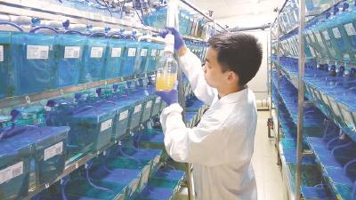 新春走基层｜春节科研忙，支点建设劲头足