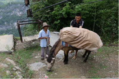 从“索道运茶”到“云端卖茶”的变迁