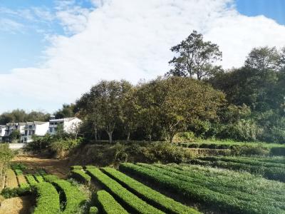 二十桶山泉，流淌的是什么？