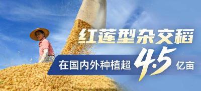 “种子芯片”向总书记报喜