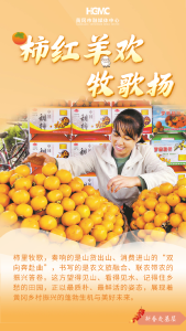 新春走基层 | 柿红羊欢、山货出山、冰雪经济……来看黄冈的蓬勃生机