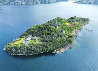 宜昌“将军岛”上，老兵夫妇守了8年……