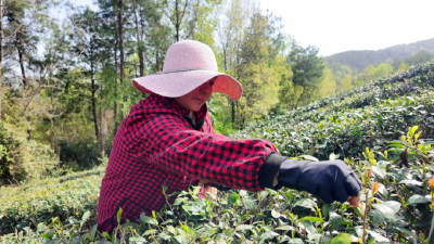 “山是底色，更是底气。”——从“试点”到“先行”，保康做对了什么？