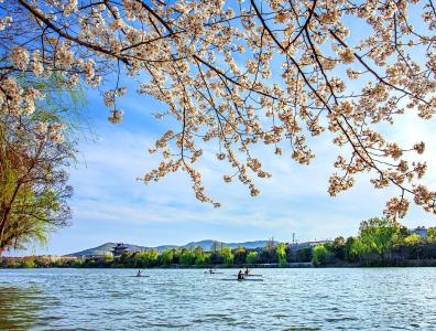 一路繁花！笔墨光影里的襄阳春日