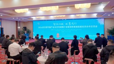 集聚超100家核心主体，全国80%研发设计出自湖北，武汉都市圈打造绿色智能船舶“全链条”硬实力