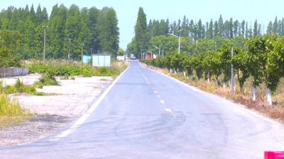 通车！三湖新通道，告别绕行