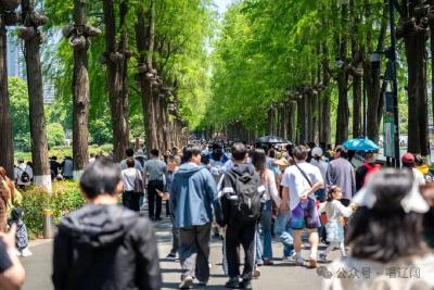 在武汉，最美的风景全是免费的？——中国经济光明论的微观注脚