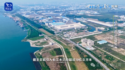 一吨“面粉”卖出800万，荆州的硬核密码