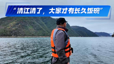 放下渔网拿起相机：“野生摄影师”见证清江重生