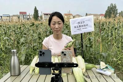 她把仙桃这些农副产品推向全国