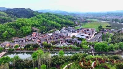 幸福的笑脸、鼓起的腰包丨 这位村书记把“中国乡村样本”讲到了全球论坛！