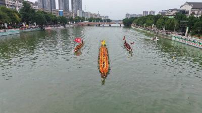 洪湖凤舟出圈海外冲刺国家级非遗名录——承袭楚人崇凤信仰，端午竞渡文化“活化石”翩然破浪