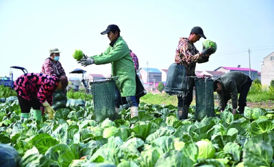 【树立和践行正确政绩观】开门问需 实干惠民——咸宁以“为民造福”检验学习教育成效