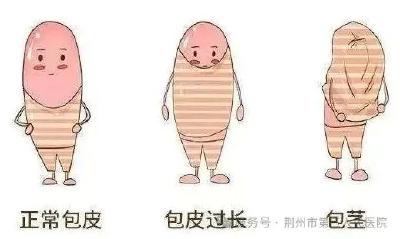 暑期“黄金期”已至！解决男孩的“男”言之隐，这份攻略请收好
