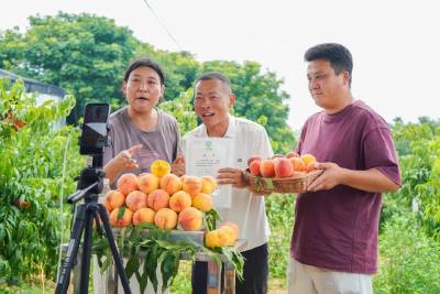 “住一晚、吃三餐、带两包”，是种什么体验