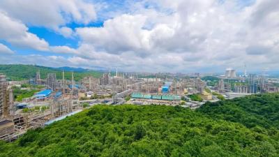 铸红色引擎  炼特油先锋——记全国先进基层党组织荆门石油化工总厂党委