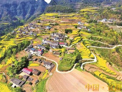 春来山村美如画 