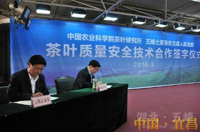 [五峰]《茶叶质量安全技术合作协议》成功签订 
