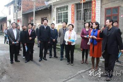 市政协领导呼吁：抢救猇亭古镇文化迫在眉睫