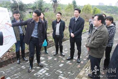 王国斌来猇调研散坟整治工作