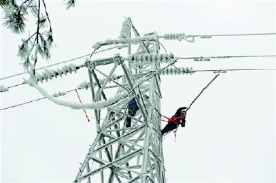 宜昌供电部门冒雪巡线清障保供电 