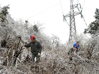秭归遭遇寒潮 电线冻成“冰柱