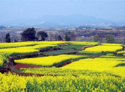 宜昌三月农事安排抢先看