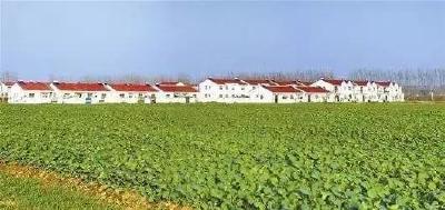 王均成到当阳调研基层政协工作 在破解“两个薄弱”上下功夫