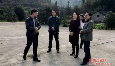赵春梅到桥边镇调研基层党建工作