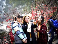 儿童公园海棠盛开